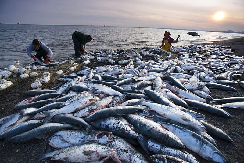 Bristol Bay, Alaska 3